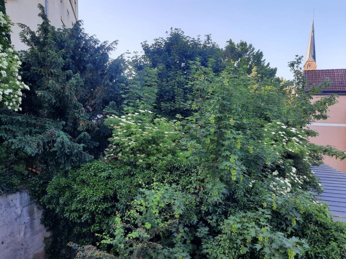 City Suite Gablenberg شتوتغارت المظهر الخارجي الصورة